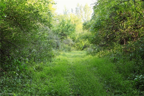 Tiny photo for Groves Hill RD, Caldwell, OH 43724 (MLS # 5245514)