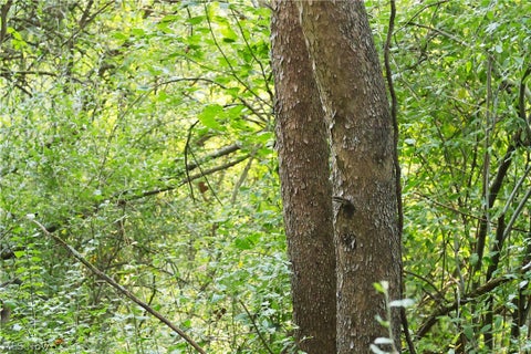 Tiny photo for Groves Hill RD, Caldwell, OH 43724 (MLS # 5245514)