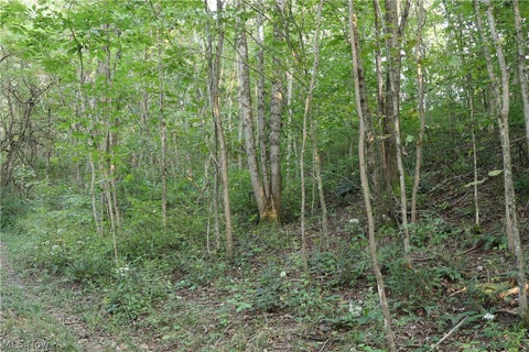 Tiny photo for Groves Hill RD, Caldwell, OH 43724 (MLS # 5245514)
