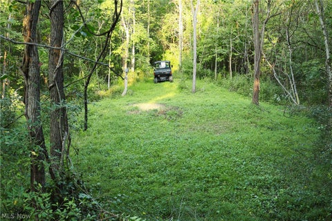 Tiny photo for Groves Hill RD, Caldwell, OH 43724 (MLS # 5245514)
