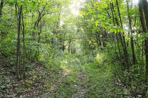 Tiny photo for Groves Hill RD, Caldwell, OH 43724 (MLS # 5245514)