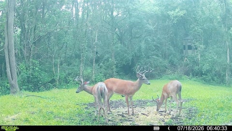 Tiny photo for Groves Hill RD, Caldwell, OH 43724 (MLS # 5245514)