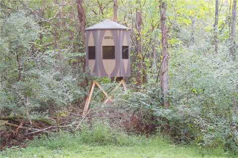 Tiny photo for Groves Hill RD, Caldwell, OH 43724 (MLS # 5245514)