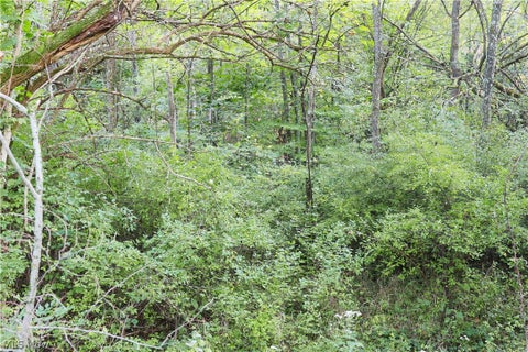 Tiny photo for Groves Hill RD, Caldwell, OH 43724 (MLS # 5245514)