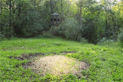 Tiny photo for Groves Hill RD, Caldwell, OH 43724 (MLS # 5245514)