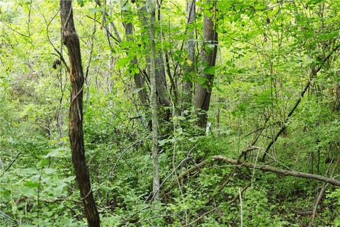 Tiny photo for Groves Hill RD, Caldwell, OH 43724 (MLS # 5245514)