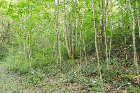Tiny photo for Groves Hill RD, Caldwell, OH 43724 (MLS # 5245514)