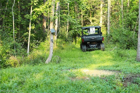 Tiny photo for Groves Hill RD, Caldwell, OH 43724 (MLS # 5245514)