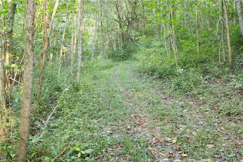 Tiny photo for Groves Hill RD, Caldwell, OH 43724 (MLS # 5245514)