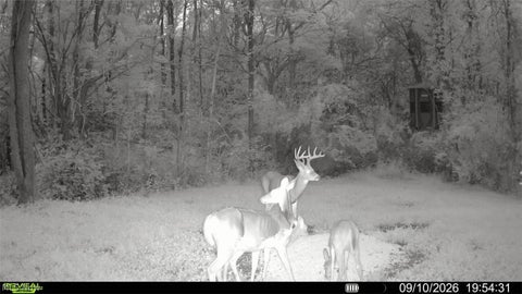 Tiny photo for Groves Hill RD, Caldwell, OH 43724 (MLS # 5245514)