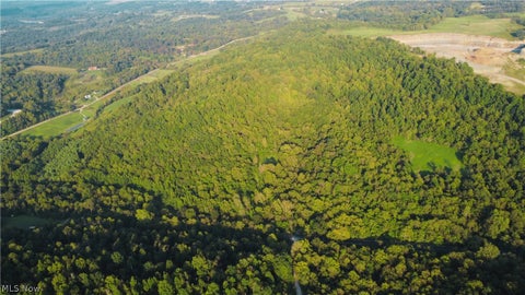 Tiny photo for Groves Hill RD, Caldwell, OH 43724 (MLS # 5245514)