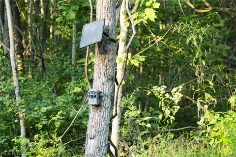 Tiny photo for Groves Hill RD, Caldwell, OH 43724 (MLS # 5245514)