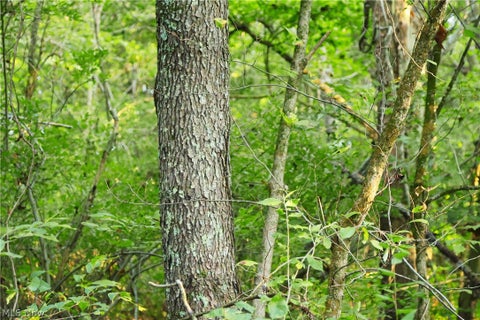 Tiny photo for Groves Hill RD, Caldwell, OH 43724 (MLS # 5245514)