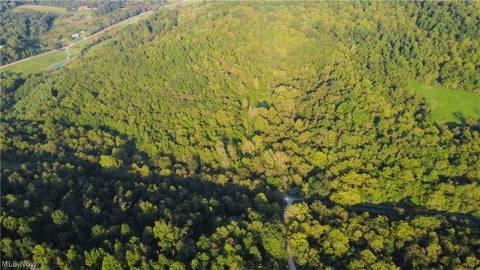 Tiny photo for Groves Hill RD, Caldwell, OH 43724 (MLS # 5245514)