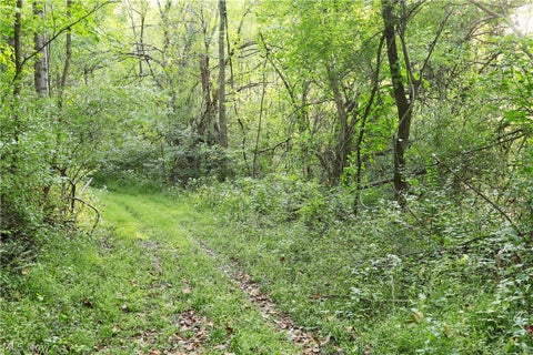 Tiny photo for Groves Hill RD, Caldwell, OH 43724 (MLS # 5245514)
