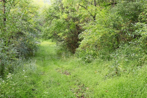 Tiny photo for Groves Hill RD, Caldwell, OH 43724 (MLS # 5245514)