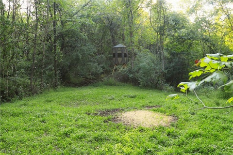 Tiny photo for Groves Hill RD, Caldwell, OH 43724 (MLS # 5245514)
