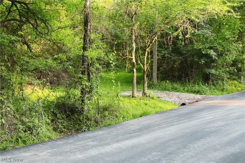 Tiny photo for Groves Hill RD, Caldwell, OH 43724 (MLS # 5245514)