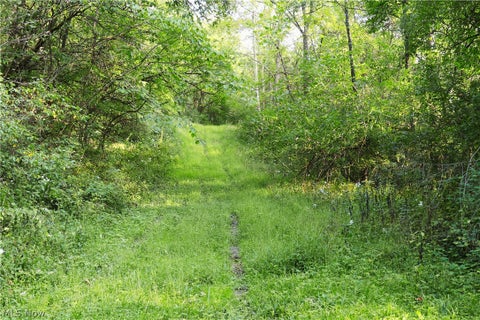 Tiny photo for Groves Hill RD, Caldwell, OH 43724 (MLS # 5245514)