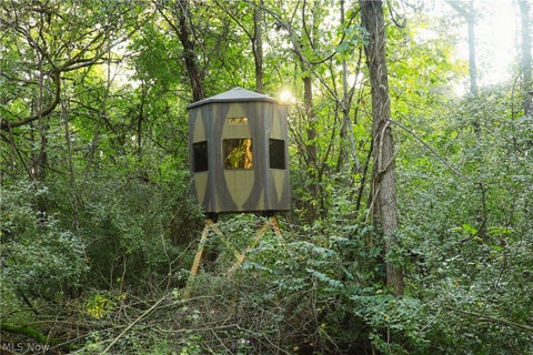 Tiny photo for Groves Hill RD, Caldwell, OH 43724 (MLS # 5245514)