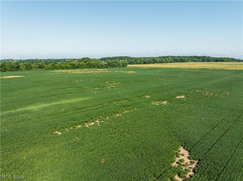 Vacant Land For Sale - Perry Road<br/> Centerburg, OH 43011