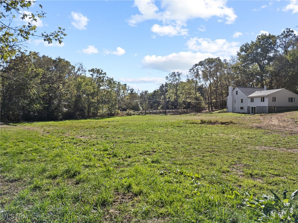 1 Arlington-Krumroy Acreage - Residential