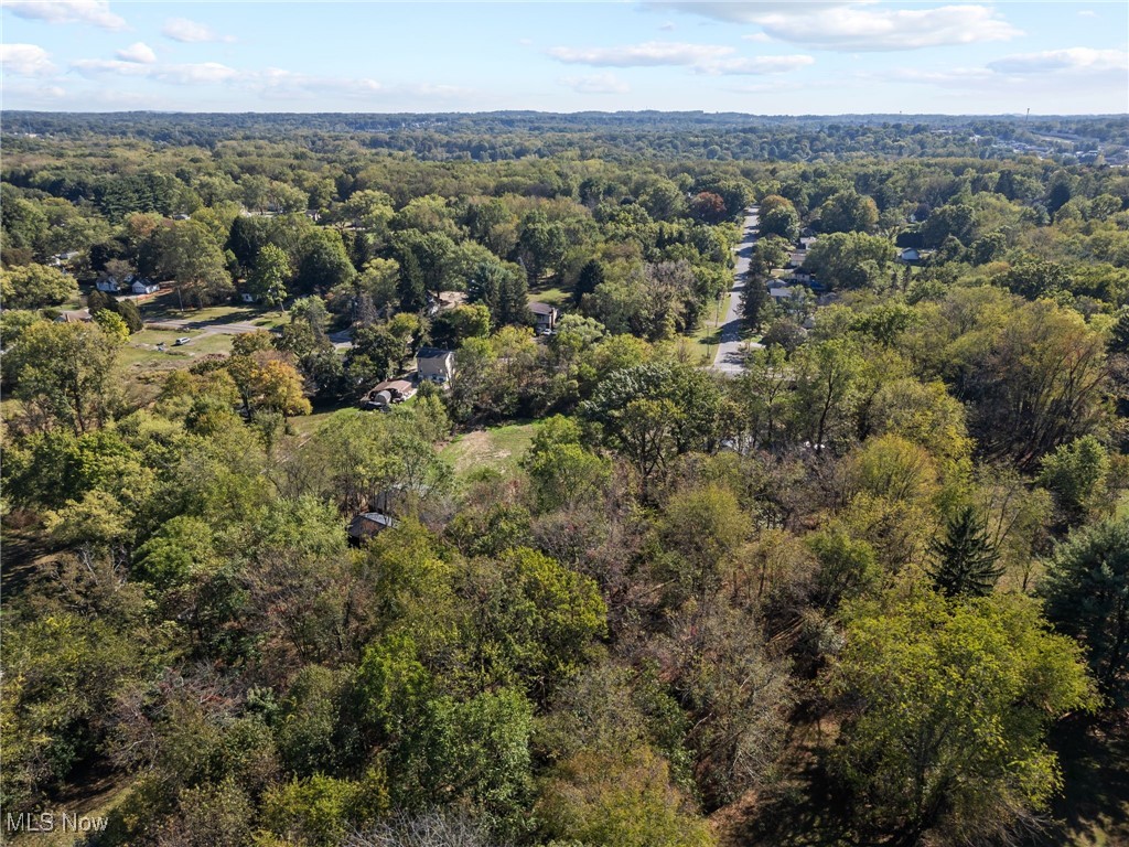 1 Arlington-Krumroy Acreage - Residential