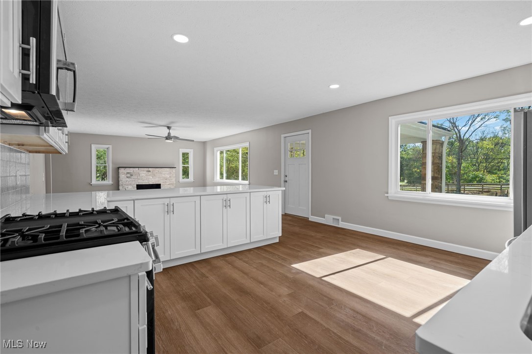 1 Arlington-Krumroy Acreage - Residential