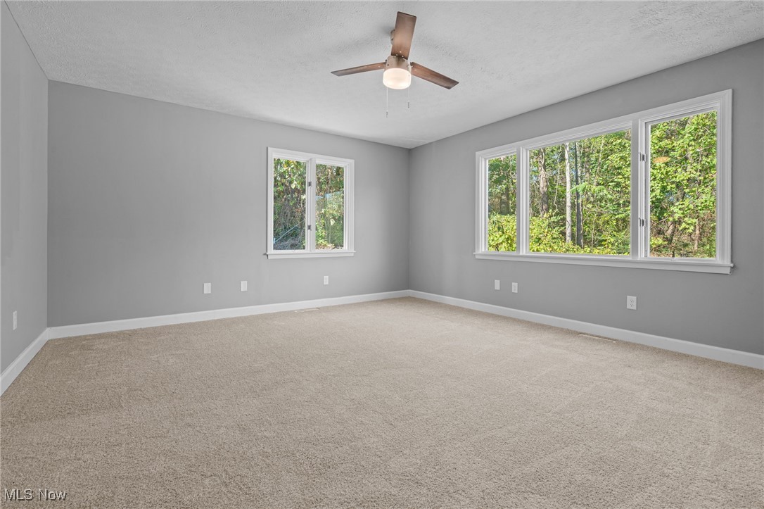 1 Arlington-Krumroy Acreage - Residential