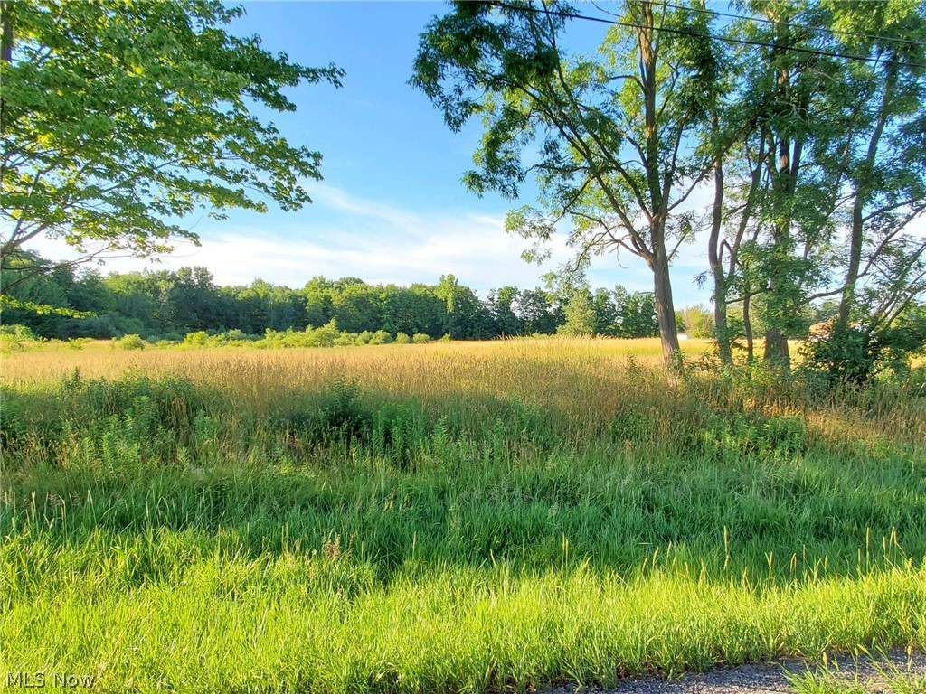 Connecticut Western Reserve - Land
