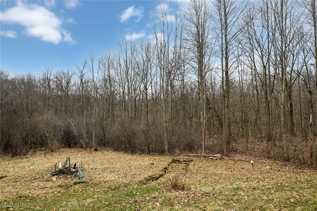 315 Babbling Brook Oval, Hinckley, Ohio image 13