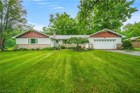Single Family Residence in Painesville Township OH 212 Orton Road.jpg