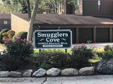 Tiny photo for 33803 Electric Boulevard #H22, Avon Lake, OH 44012 (MLS # 5255707)
