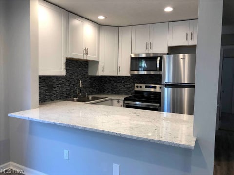 Tiny photo for 33803 Electric Boulevard #H22, Avon Lake, OH 44012 (MLS # 5255707)