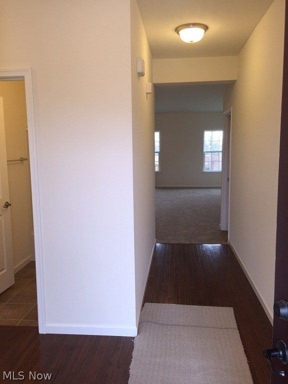 Cinema Park - Residential