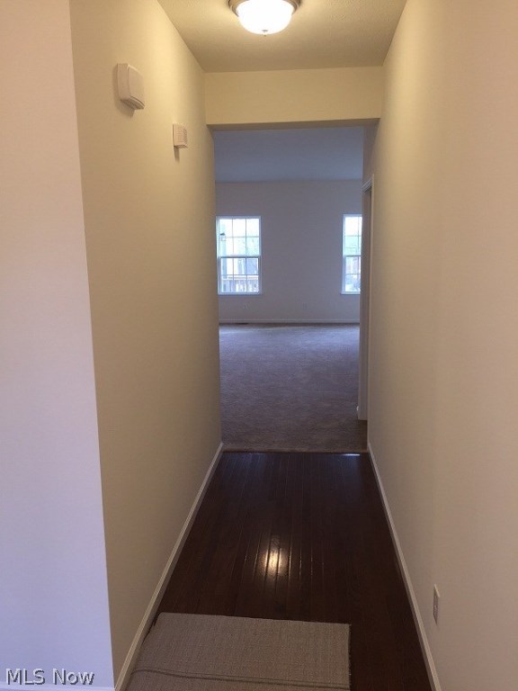 Cinema Park - Residential