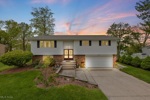 1554 Mckinley Avenue Brunswick OH 44212