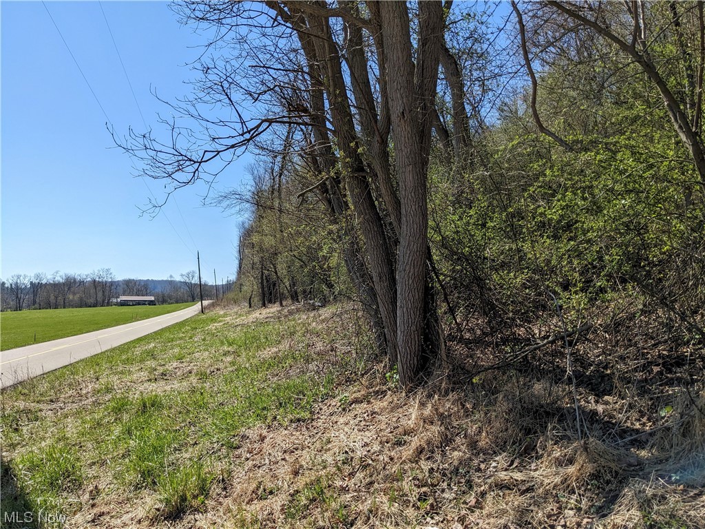 AUCTION: August 3 @ 5:30 P.M.
6 acres of wooded, buildable land in beautiful Mohican Valley. Located on Wally Road, the Scenic Byway in Mohican winding along the Mohican River, this parcel sits right across the street from the Mohican River. A few cleared areas would make beautiful building spots with great views of the Mohican Valley. Serene and peaceful, this is a wildlife hotspot and would make a great setting for a getaway cabin or lodge. This is a lot split, so acreage is approximate and subject to survey. Taxes TBD. An additional 39 adjacent, wooded acres will also be auctioned off the same evening.