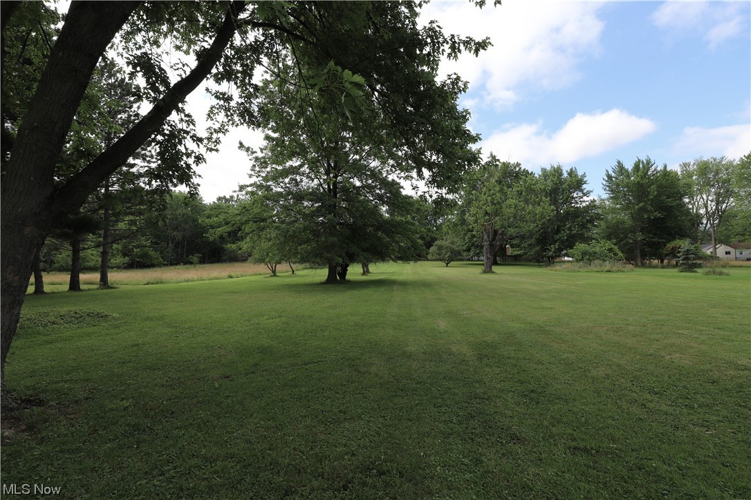 Medina - Residential