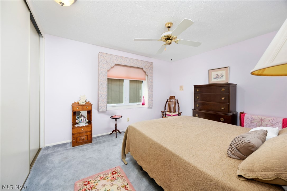 Meadow Trail Clstr Dev - Residential