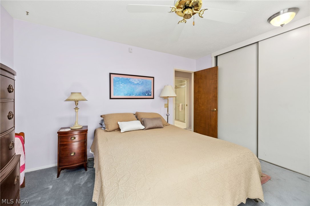 Meadow Trail Clstr Dev - Residential