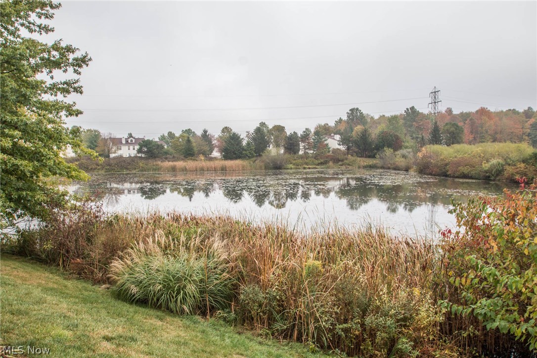 Sanctuary Condo - Residential