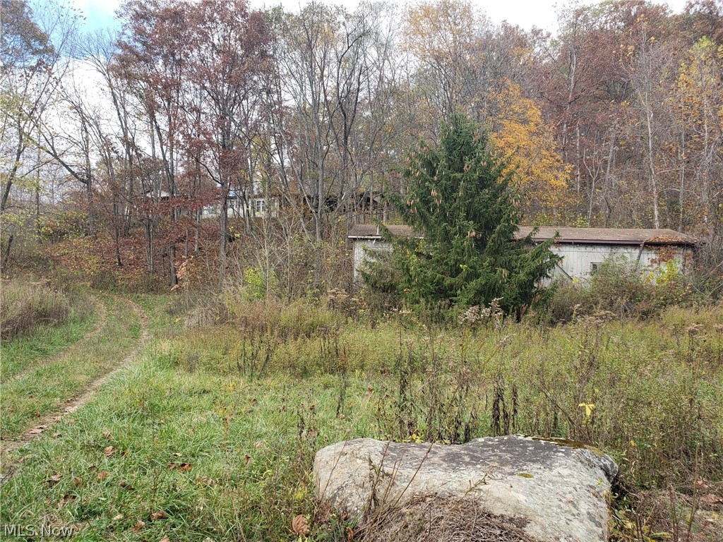 This property boasts 30+/- acres of wooded hillside. There is a large building below the residence. Residence is a 3 bedroom, 2 bath modular home with attached two-car garage.