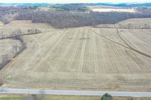 Vacant Land For Sale - St Rt 603<br/> Richland County, Lucas, OH 44843