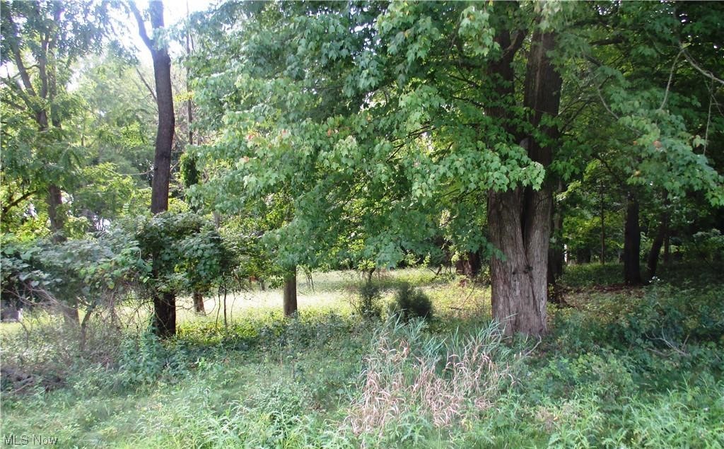 WOW! Almost a half acre in the City of Kent. 100X200 ( 0.4591 acre ) lot with public sewer and public water available at the street. A brand new house was just built next door to this lot. Buyers see pictures for the survey on this great lot. Convenient location to shopping, parks, restaurants, & Routes 59, 43, 261, 91. See listing agent for zoning. Buyer is responsible for property information contained herein and property suitability for buyers intended purpose.