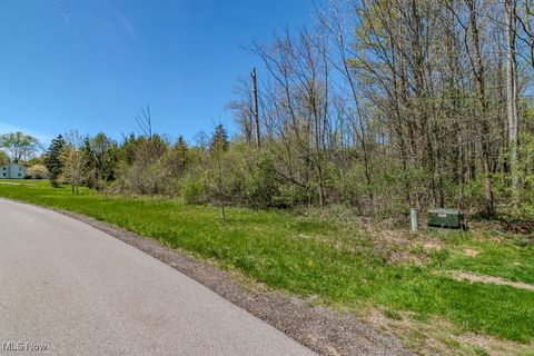 Starbush Court Chagrin Falls OH 44023