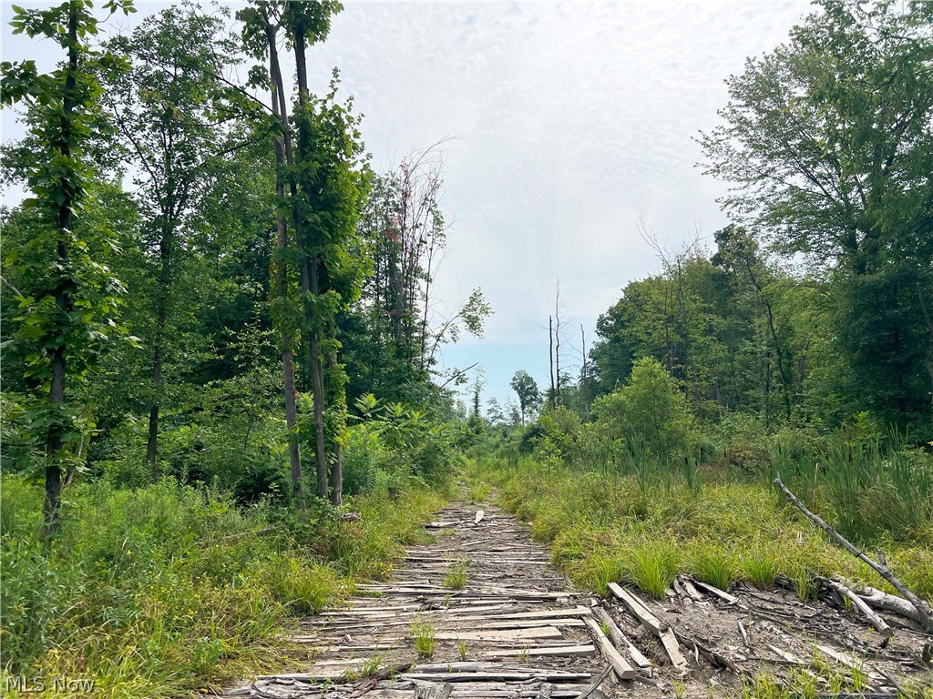 Gane Road, Williamsfield, Ohio image 8