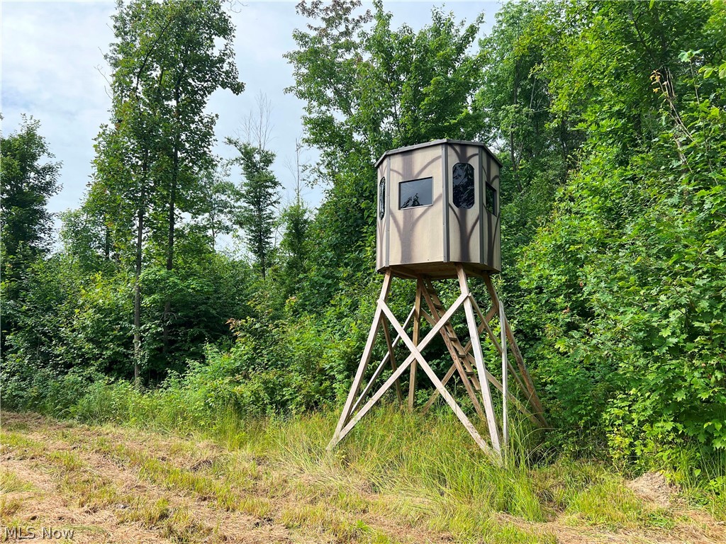 Gane Road, Williamsfield, Ohio image 7