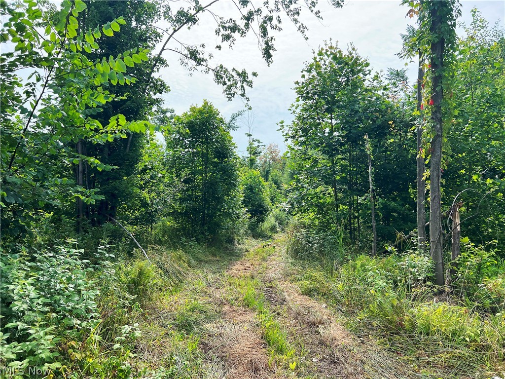 Gane Road, Williamsfield, Ohio image 9