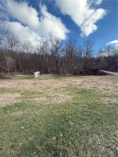 Vacant Land For Sale - 6002 N Pleasants Highway<br/> Pleasants County, Saint Marys, WV 26170